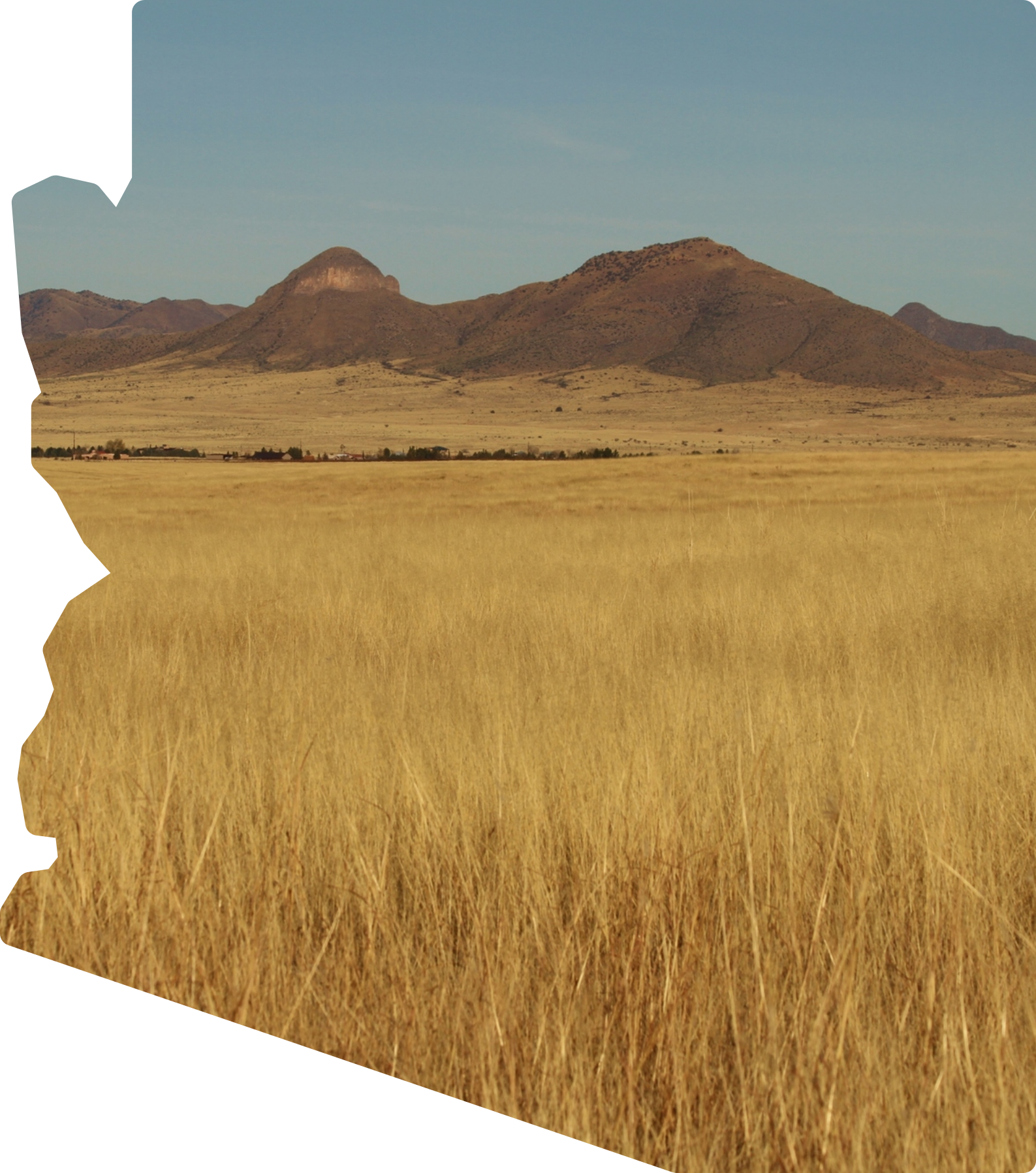 State of Arizona Silhouette with Field Background Graphic